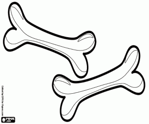 раскраска Две кости для маленьких собак