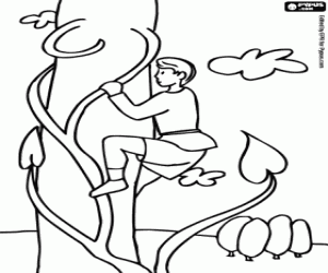 раскраска Джек и бобовое дерево