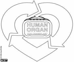 раскраска Донорство и трансплантация органов
