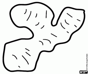 раскраска Имбирь, корневище