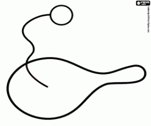 раскраска Индивидуальные игры с ракеткой