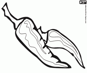 раскраска Капсикум