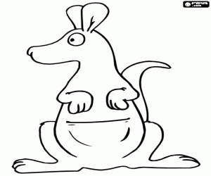 раскраска Кенгуру, видели с фронта