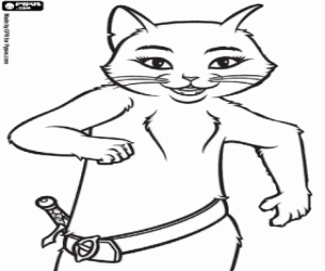 раскраска Киса, друг Кот в сапогах