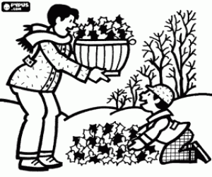 раскраска Коллекция из сухих листьев осенью