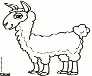 раскраска Ламы, животное инков