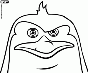 раскраска Лицо, Рико, гребенная Пингвин