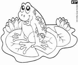 раскраска Лягушка на водяной лилии