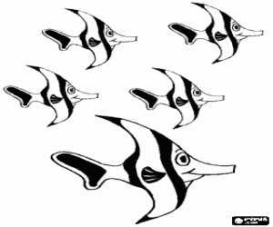 раскраска Многие виды рыб и коралловых рифов