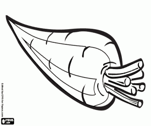 раскраска Морковь, корень, овощ