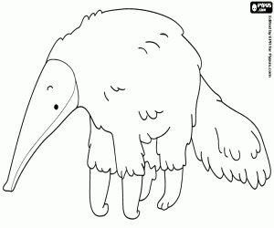 раскраска Муравьед, млекопитающее