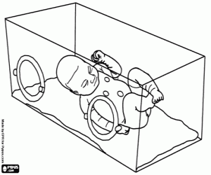 раскраска Недоношенных младенцев в инкубаторе