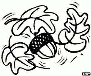 раскраска Некоторые дубовыми листьями и желудь