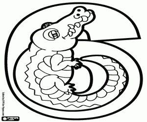 раскраска Номер шесть, крокодил