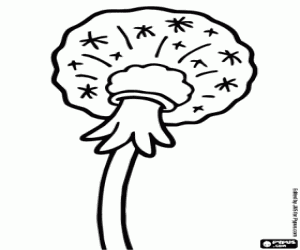 раскраска Одуванчика семян