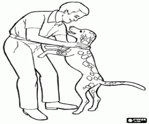 раскраска Отец с собакой, день отца