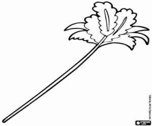 раскраска Перо тряпкой, чтобы играть с кошкой