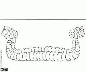 раскраска Плот язычков инков