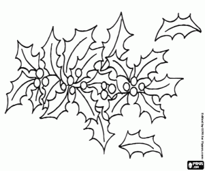 раскраска Растительный орнамент Рождество с Холли