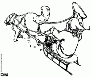раскраска Ребенок на санках с хаски