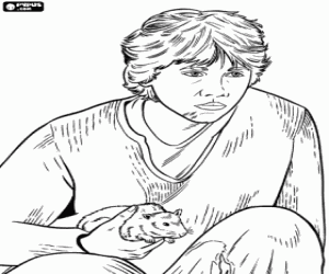 раскраска Рон с крыса в руке