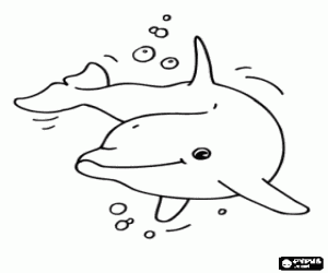 раскраска С дельфинами в море