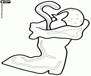 раскраска Санта-Клаус боти́нок с подарками