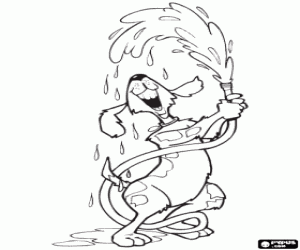 раскраска Собака играет с водой