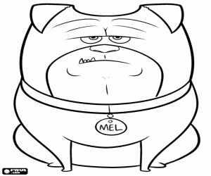 раскраска Собака-компаньон, мел