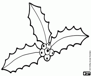 раскраска Три падуб листья с фруктами
