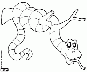 раскраска Удав