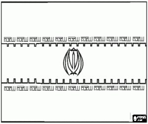 раскраска Флаг Ирана