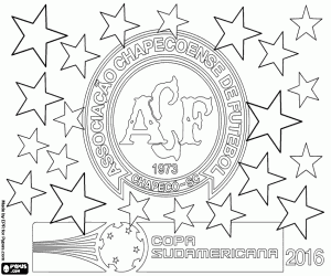 раскраска Шапекоэнсе, Кубок Либертадорес 2016