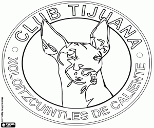 раскраска Эмблема Xolos де Тихуана