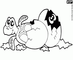 раскраска Яйца черепаха