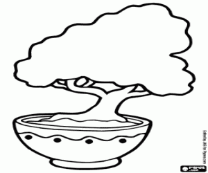 раскраска Японский бонсай